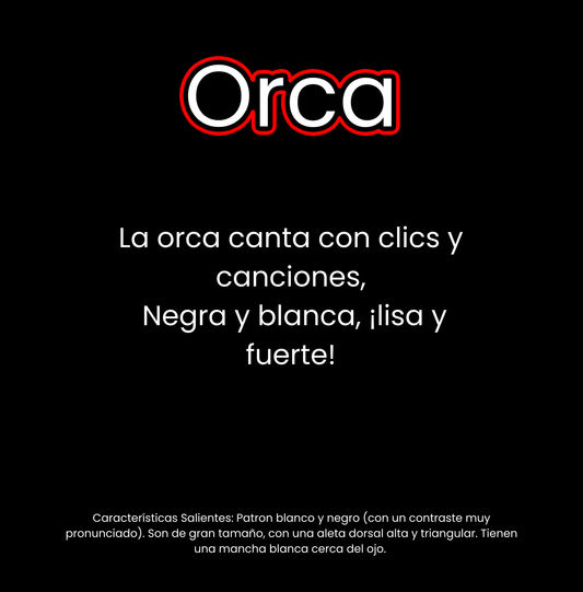 ¿Qué vive en el océano?
