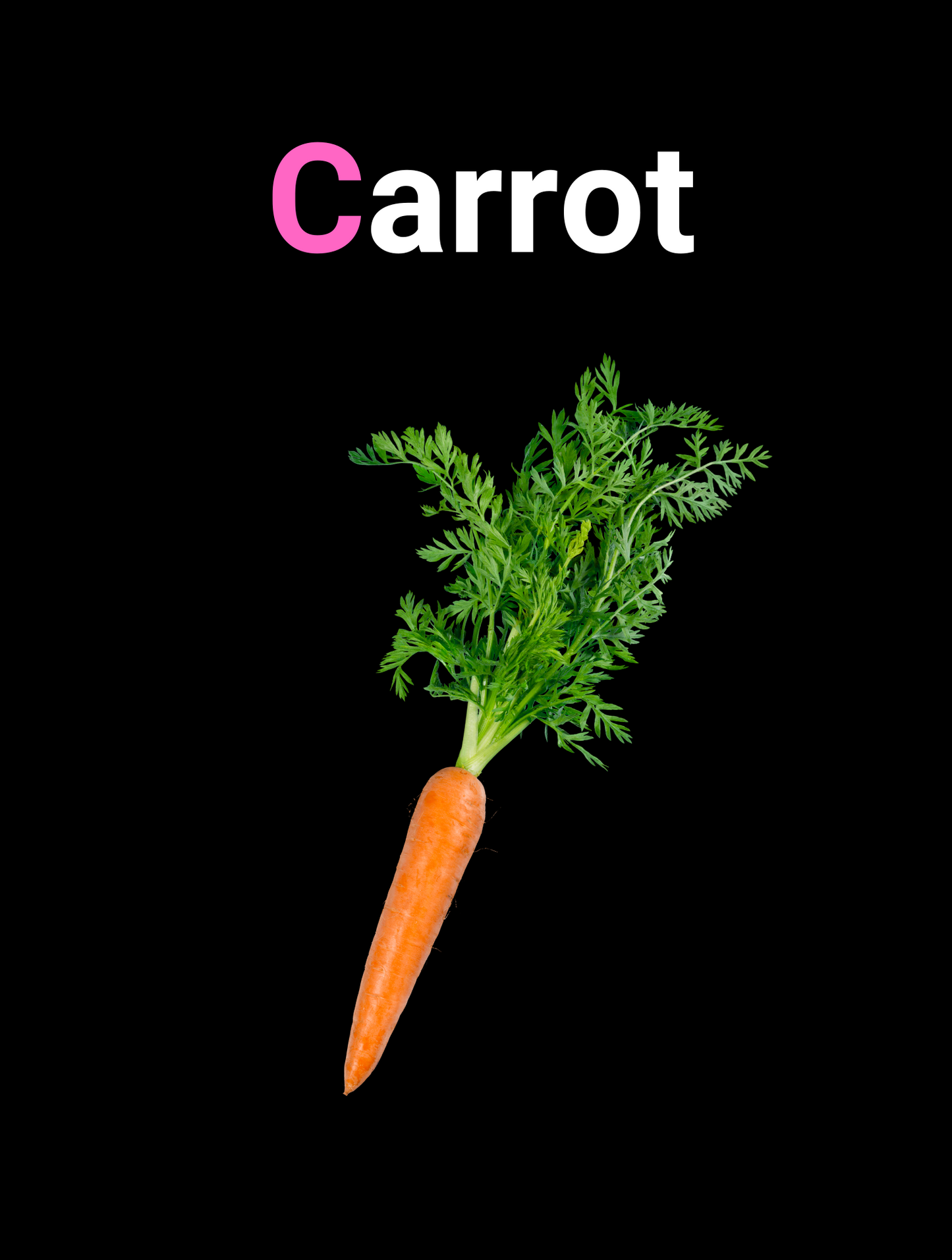 My First Alphabet Book (Paperback)