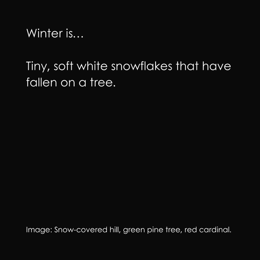 Winter is...