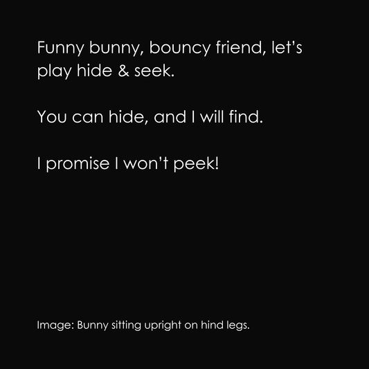 Hide & Seek Funny Bunny