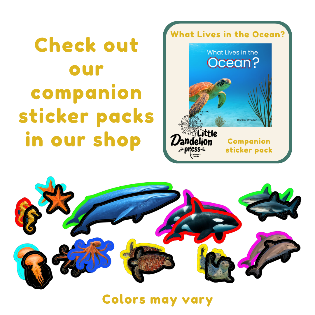 What Lives in the Ocean?