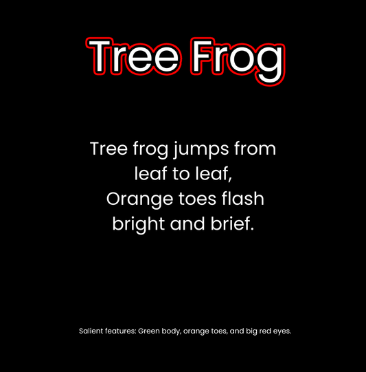 What Lives in the Rainforest?