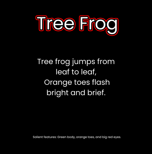 What Lives in the Rainforest?
