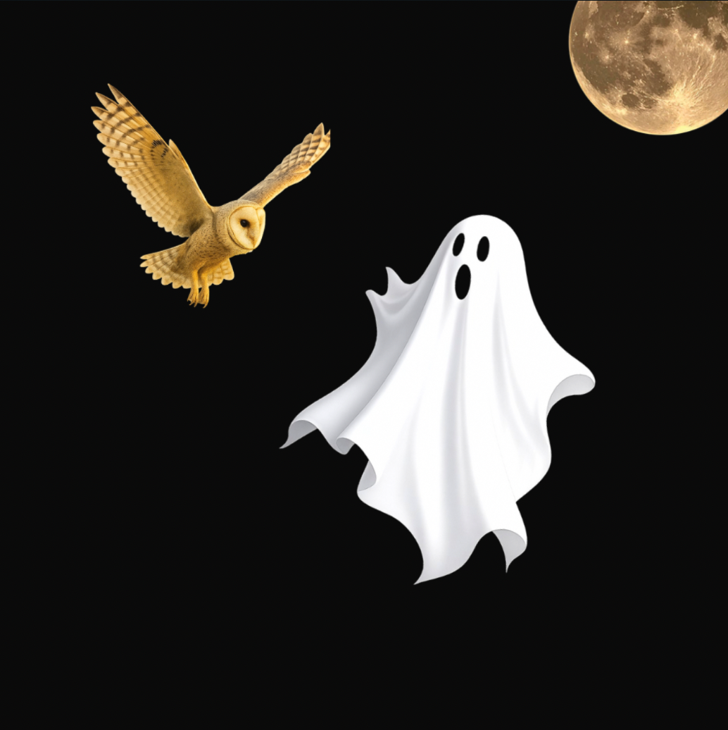 Five Friendly Ghosts