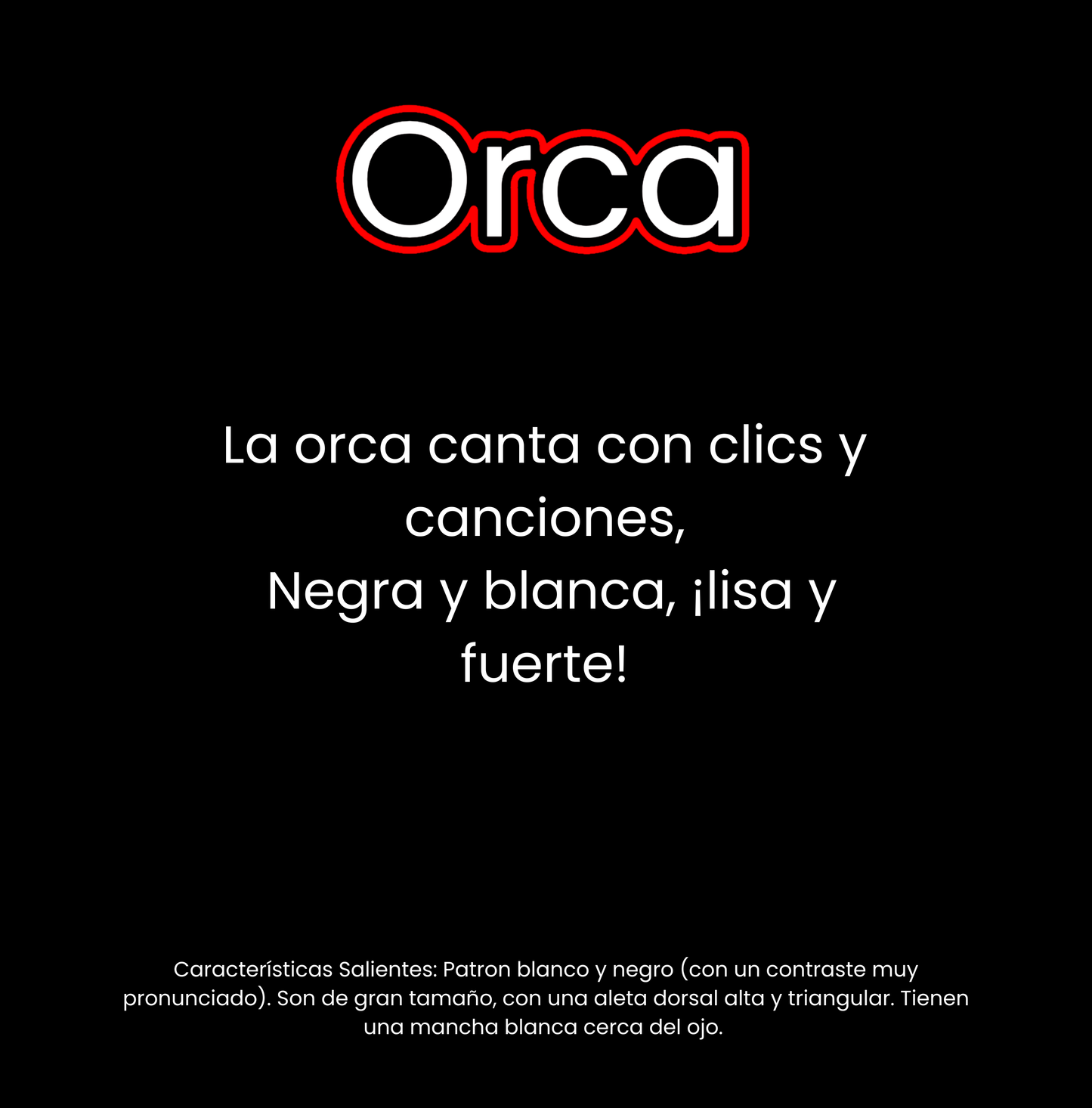 ¿Qué vive en el océano?