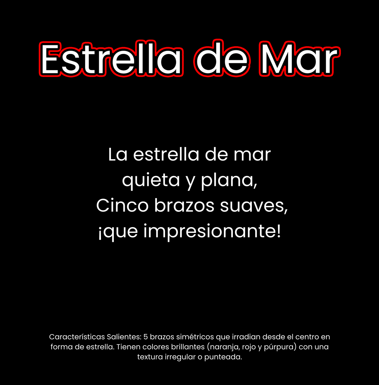 ¿Qué vive en el océano?