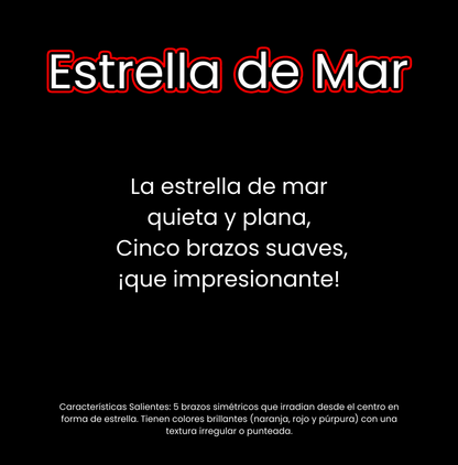 ¿Qué vive en el océano?