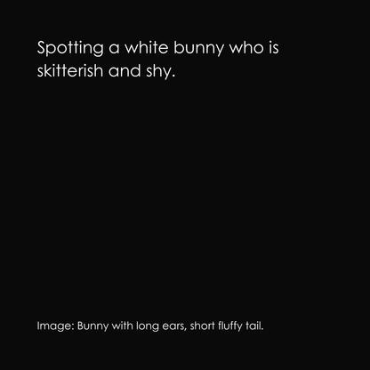 Spring is...