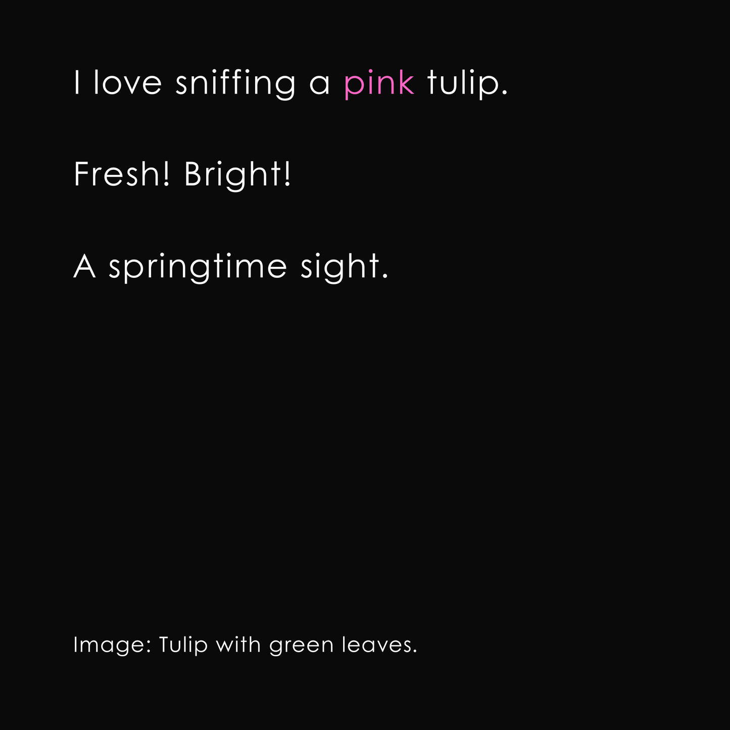 Everything Pink