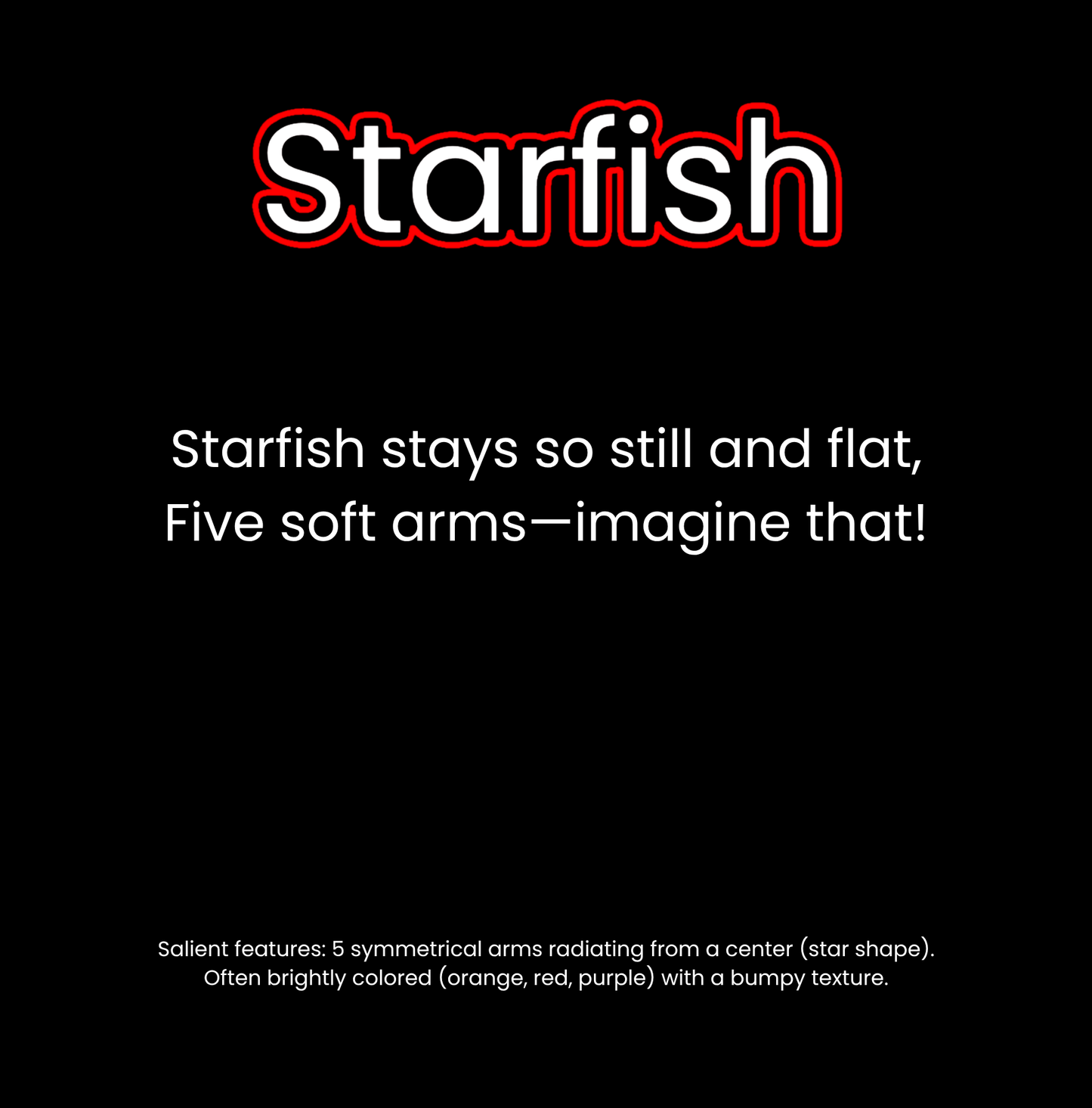 What Lives in the Ocean?