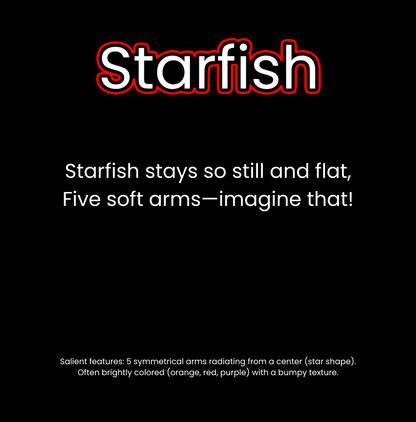 What Lives in the Ocean?
