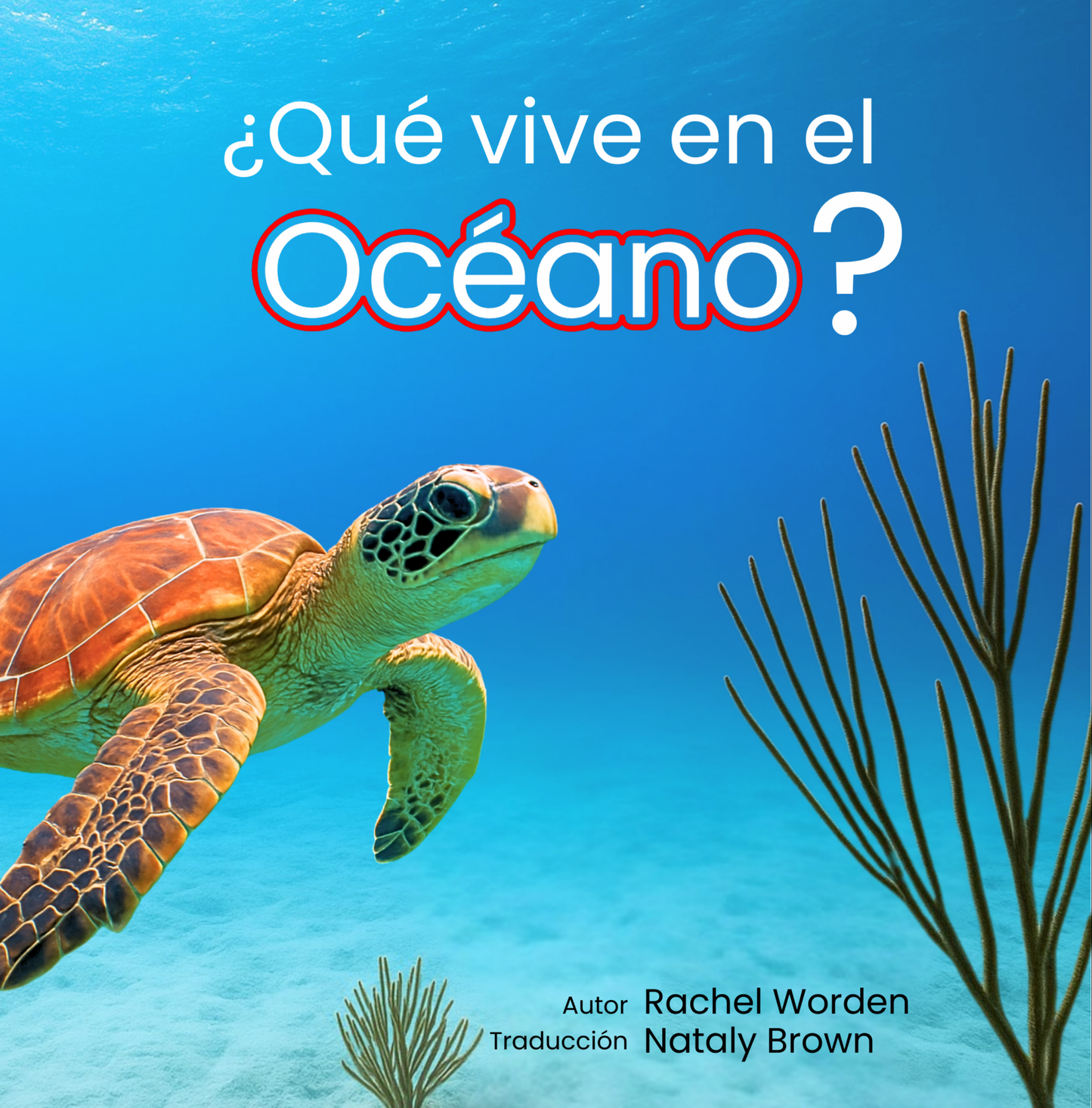¿Qué vive en el océano?