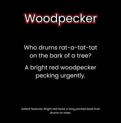 What Lives in the Woodlands