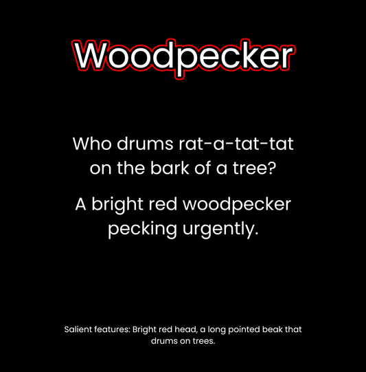 What Lives in the Woodlands