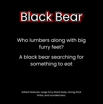 What Lives in the Woodlands