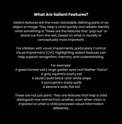 What Lives in the Woodlands