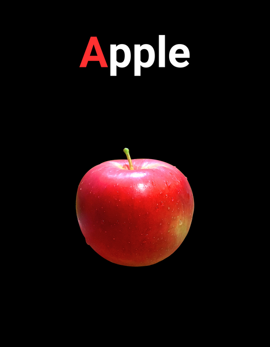 My First Alphabet Book (Paperback)