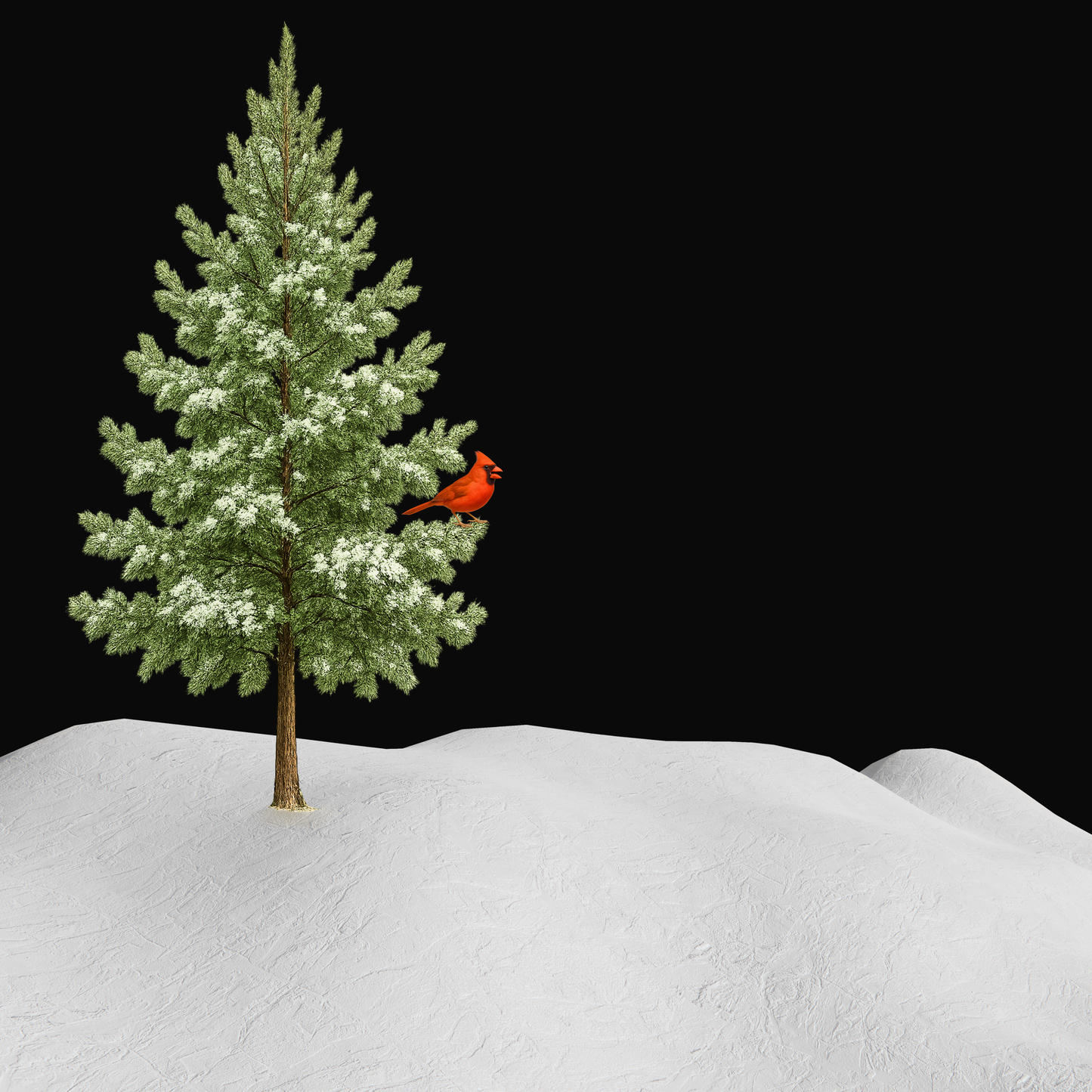 Seasons are... Bundle (Pre-Order)