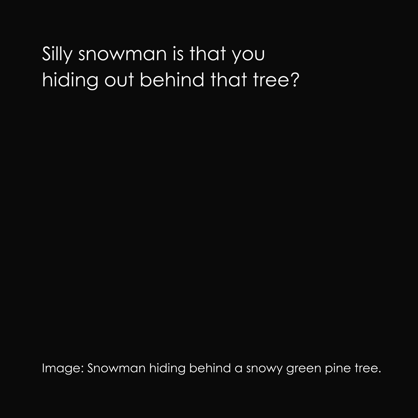 Hide & Seek Silly Snowman