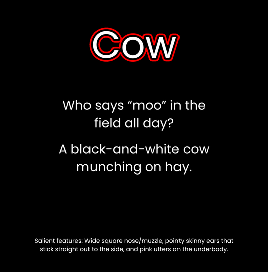 What Lives on a Farm?