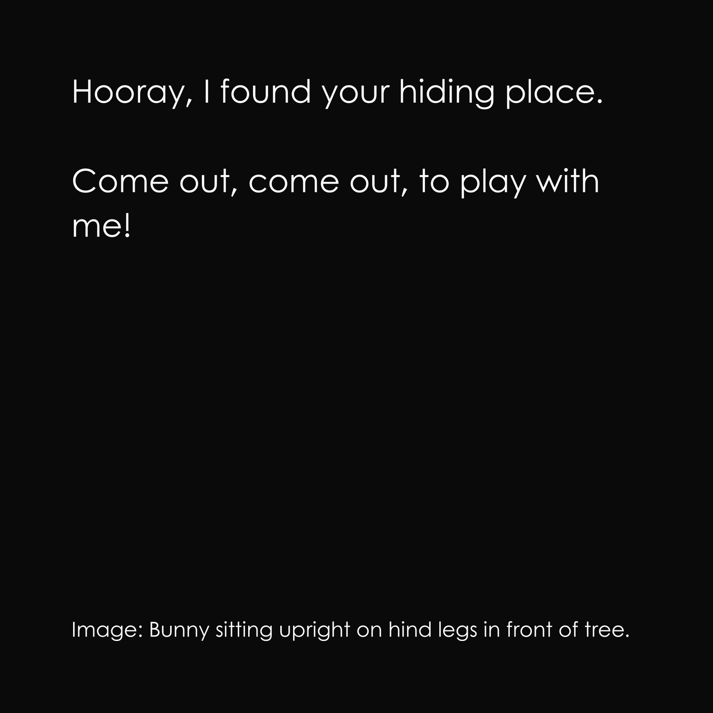 Hide & Seek Funny Bunny