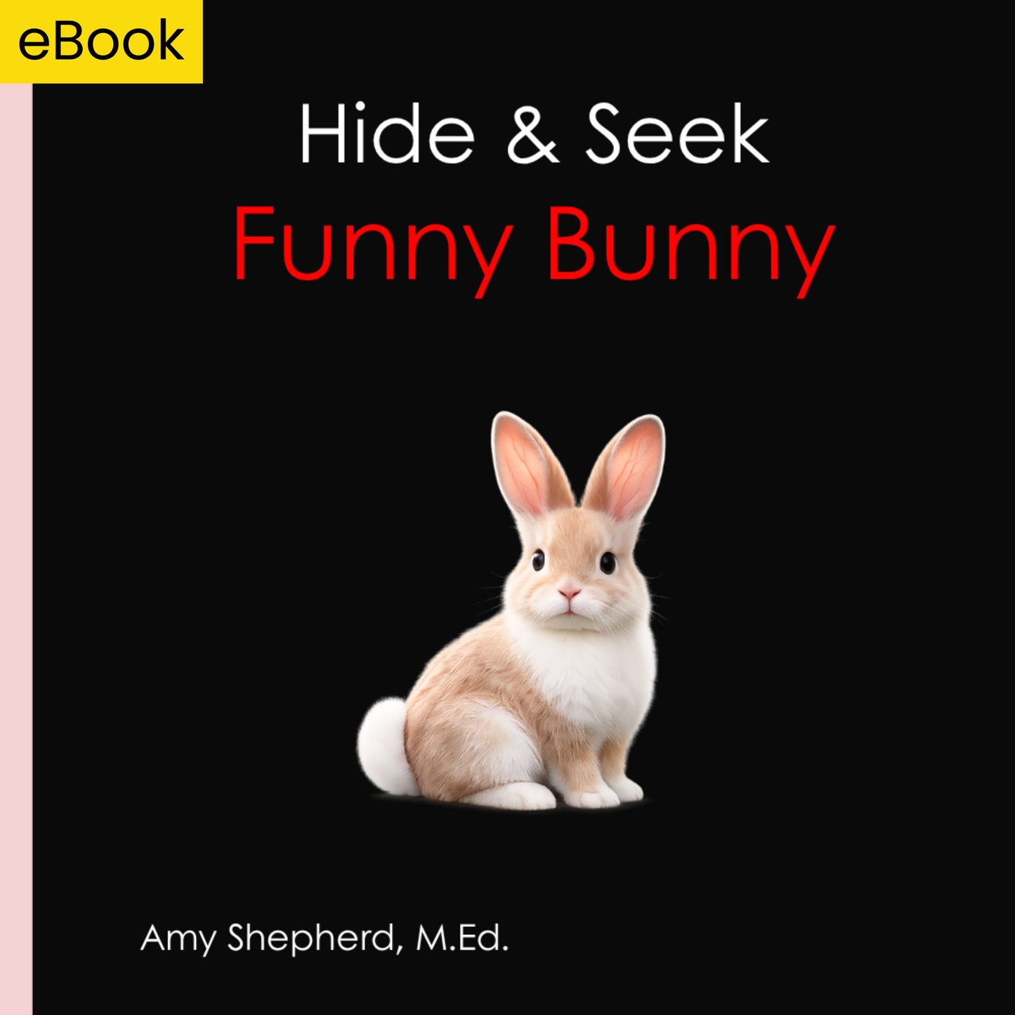 Hide & Seek Funny Bunny