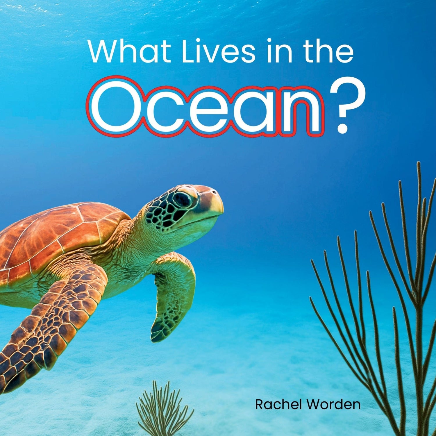 Cover of “What Lives in the Ocean” showing a bright sea turtle swimming underwater toward the viewer, with coral and fish in the background on a deep blue ocean backdrop. High contrast, CVI-friendly image.